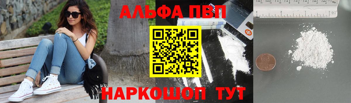 Alfa_PVP СК КРИС Сочи