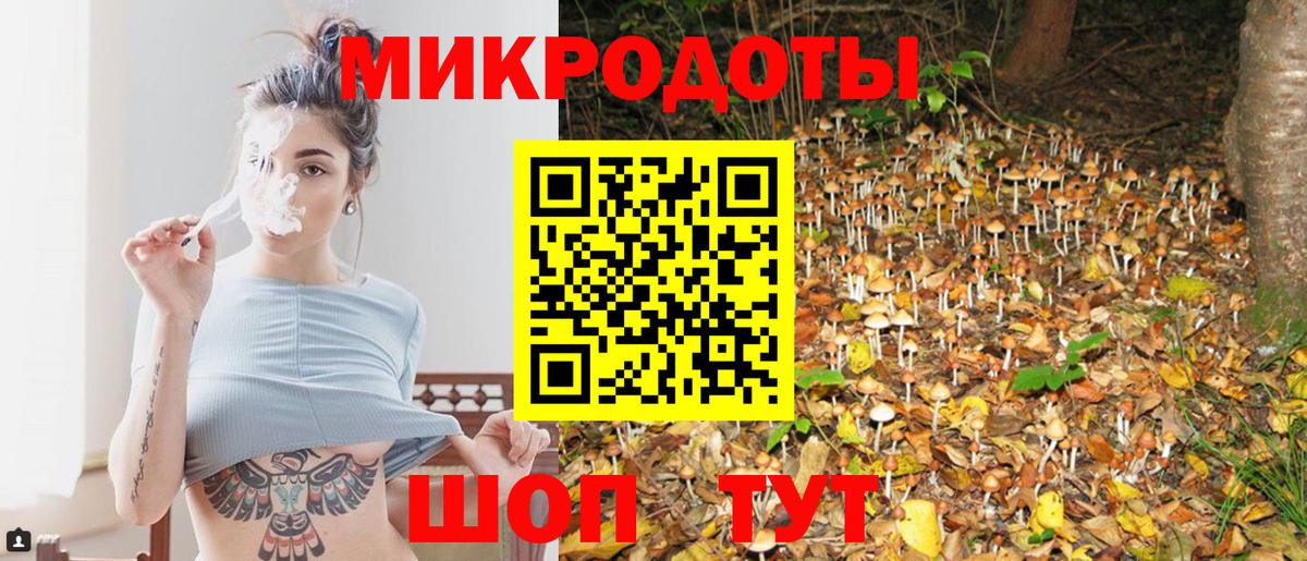 Псилоцибиновые грибы мухоморы Сочи